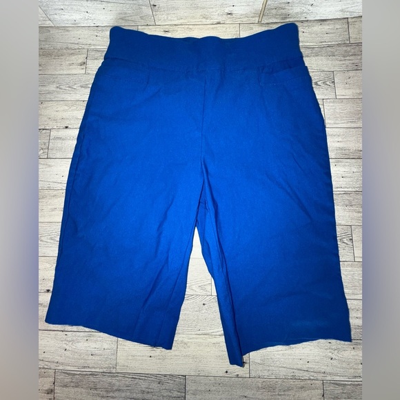Kim Rogers Pants - Kim Rogers Tummy Control Blue Women's Shorts size 6